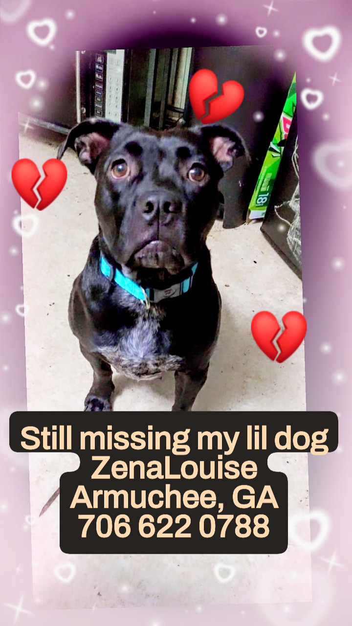 Image of ZenaLouise, Lost Dog