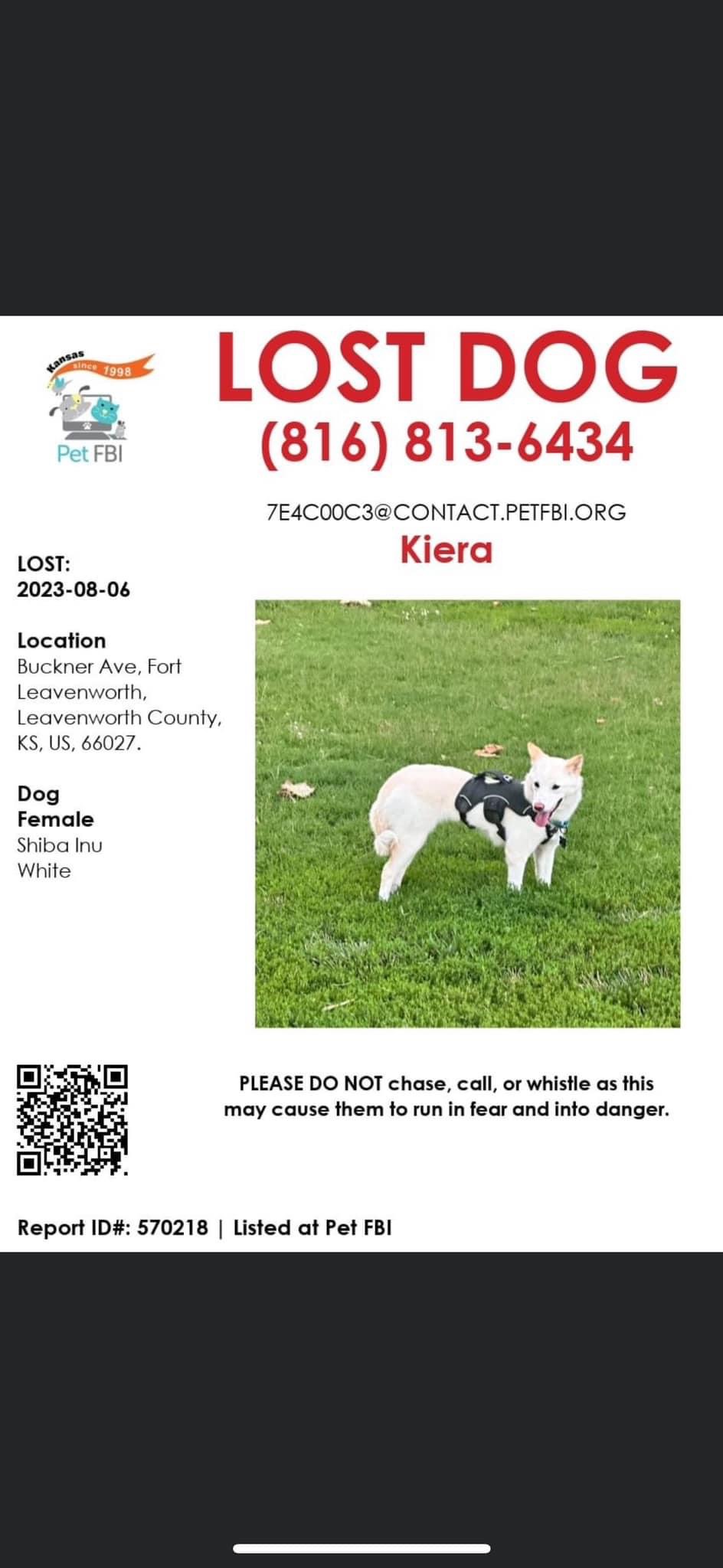 Image of Kiera, Lost Dog