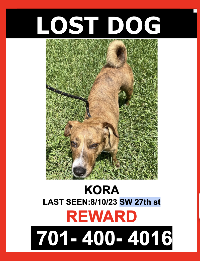 Image of Kora, Lost Dog