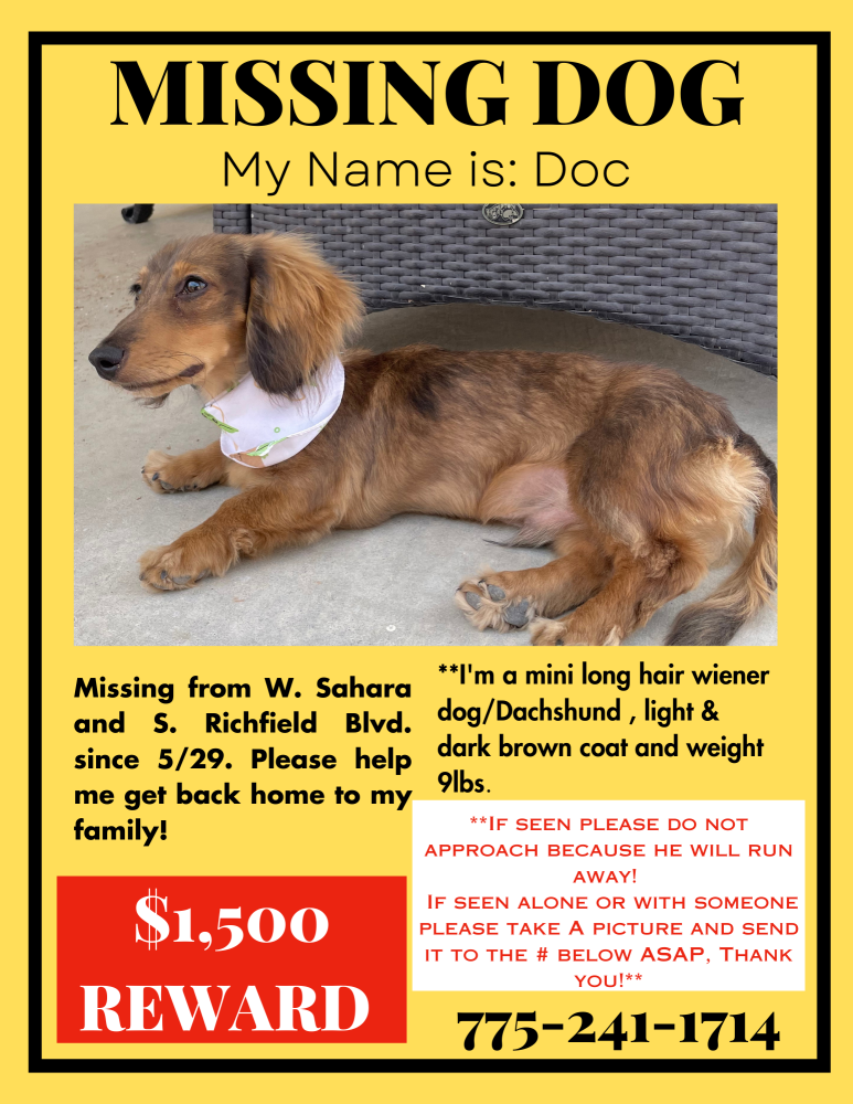 Image of Doc, Lost Dog