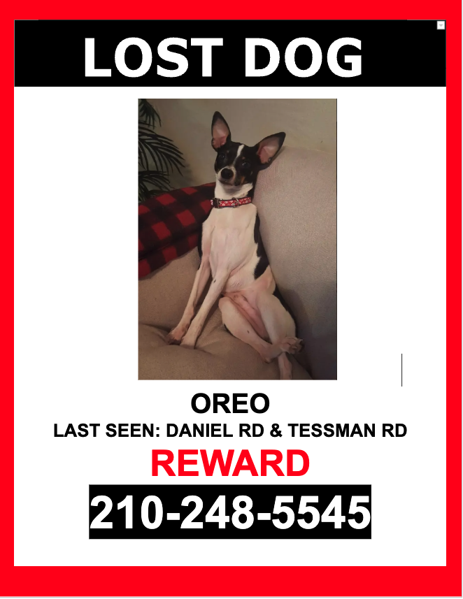 Image of OREO, Lost Dog