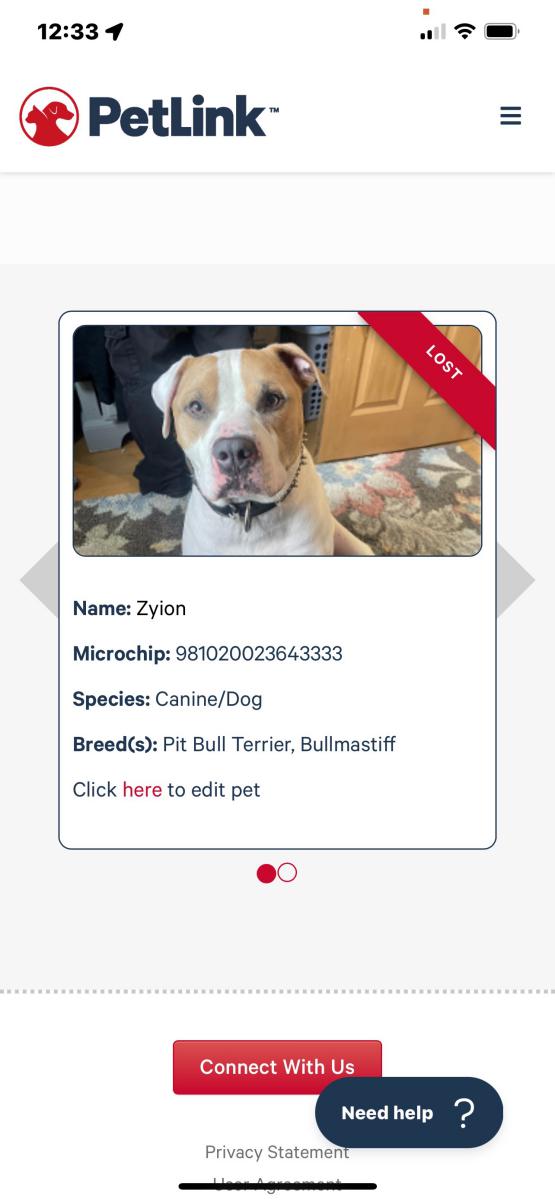 Image of Zyion, Lost Dog