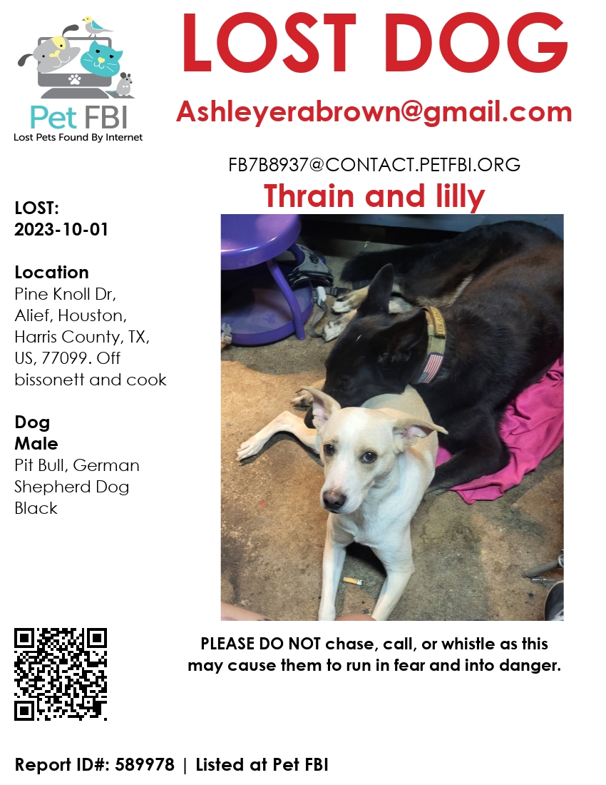 Image of Thrain and lilly, Lost Dog
