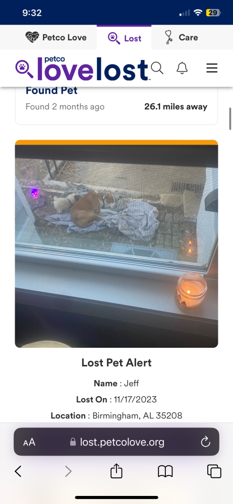 Image of Jeff, Lost Dog