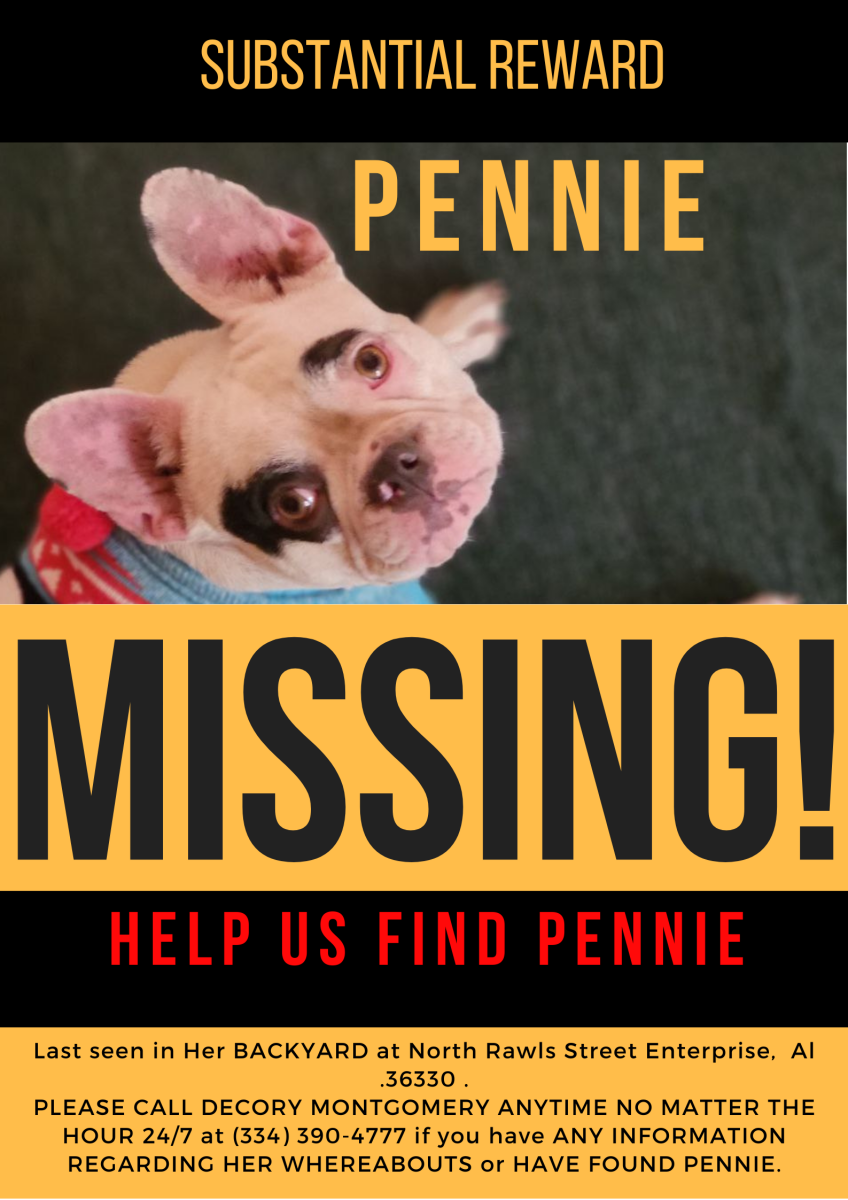 Image of Pennie Montgomery, Lost Dog