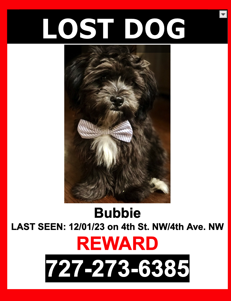 Image of Bubbiw, Lost Dog