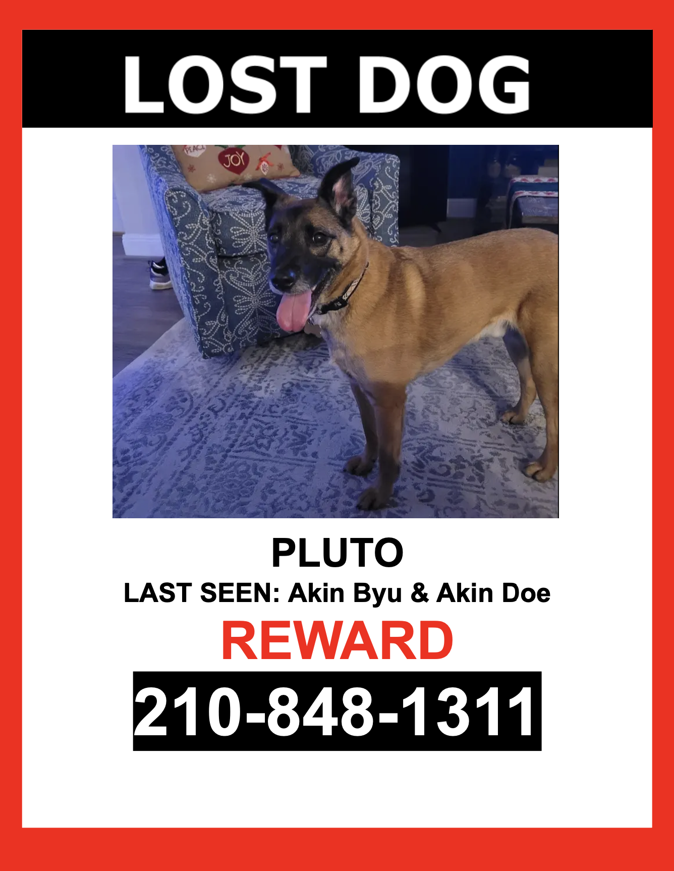 Image of Pluto, Lost Dog