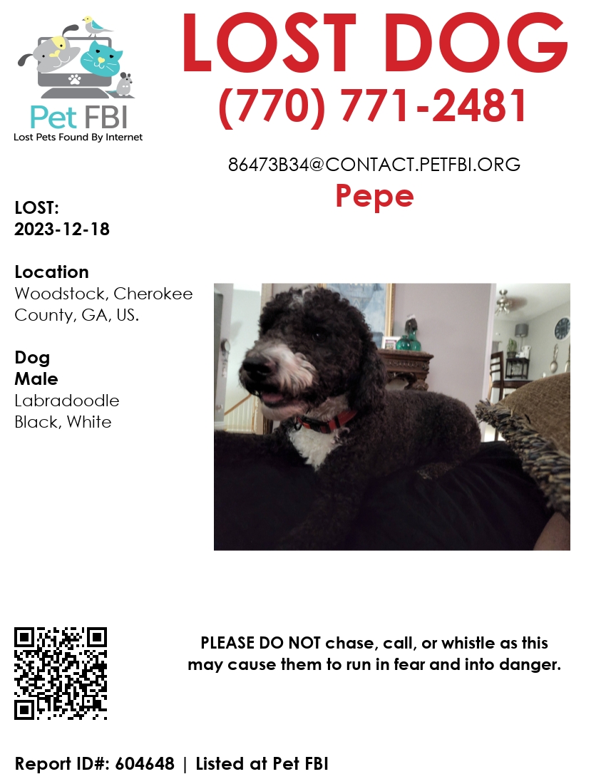 Image of Pepe, Lost Dog