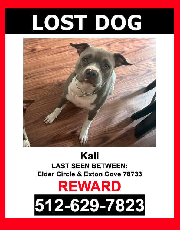 Image of Kali, Lost Dog