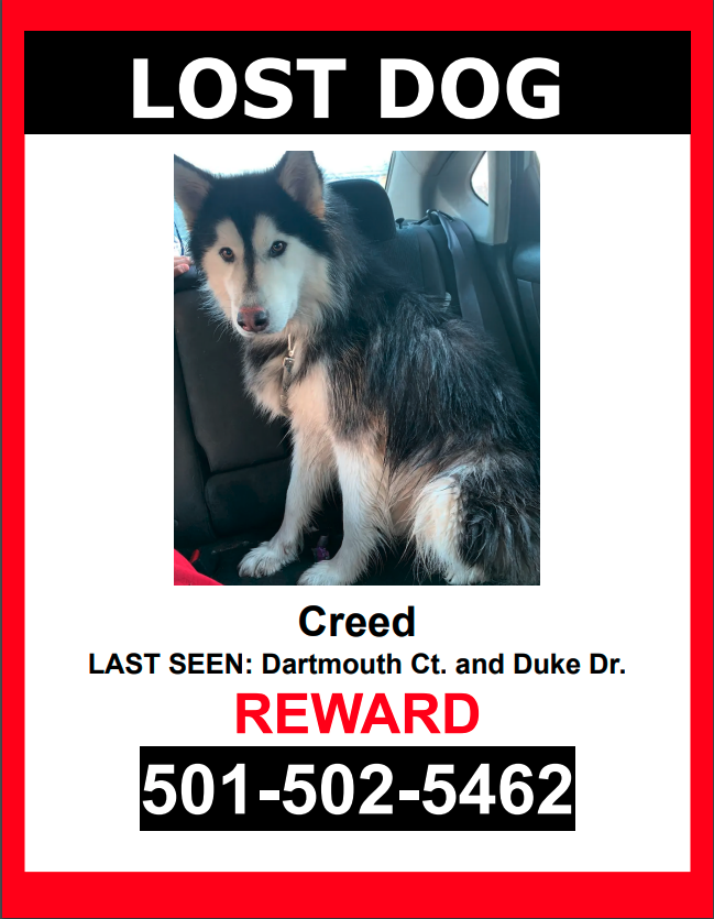 Image of Creed, Lost Dog