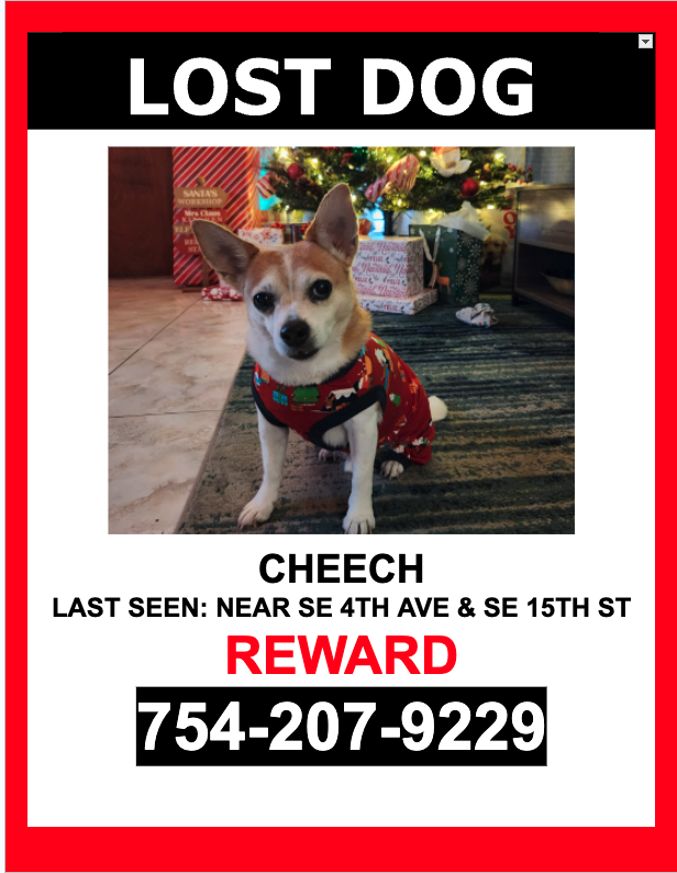Image of Cheech, Lost Dog