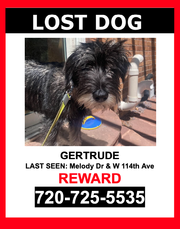 Image of Gertrude, Lost Dog