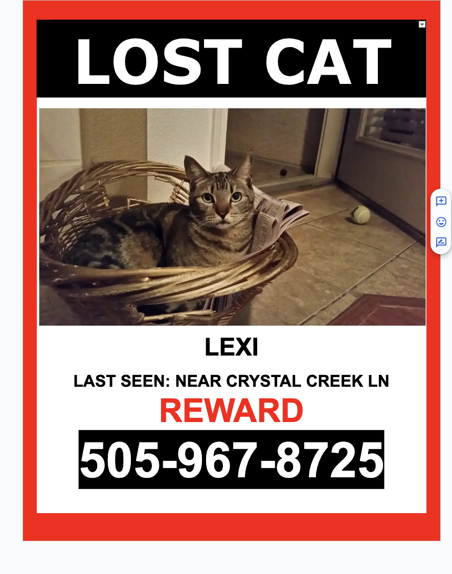 Image of Lexi, Lost Cat