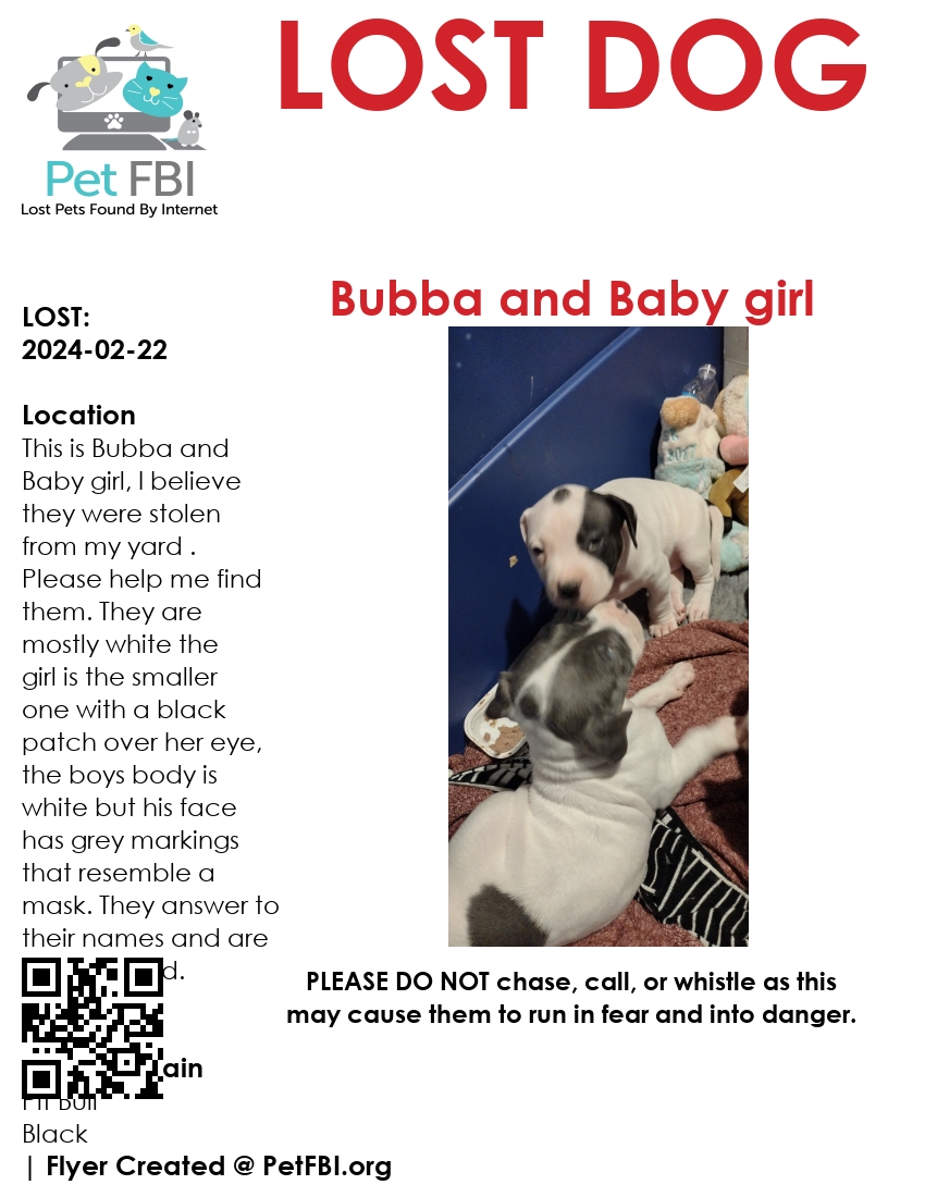 Image of Babygirl and Bubba, Lost Dog