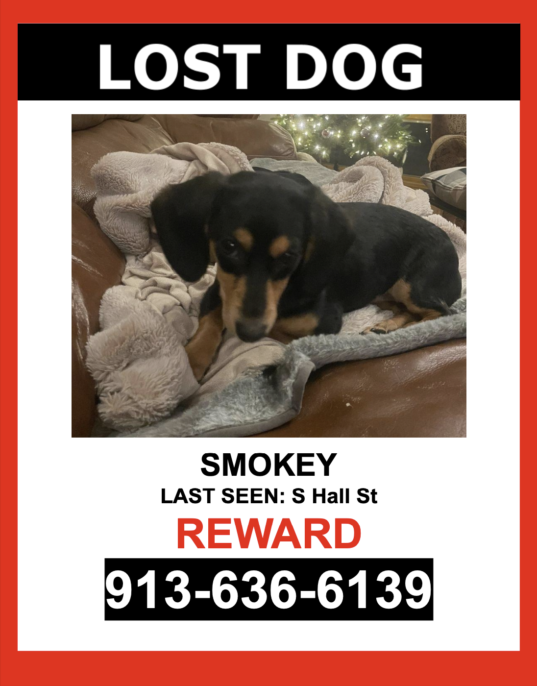 Image of Smokey, Lost Dog