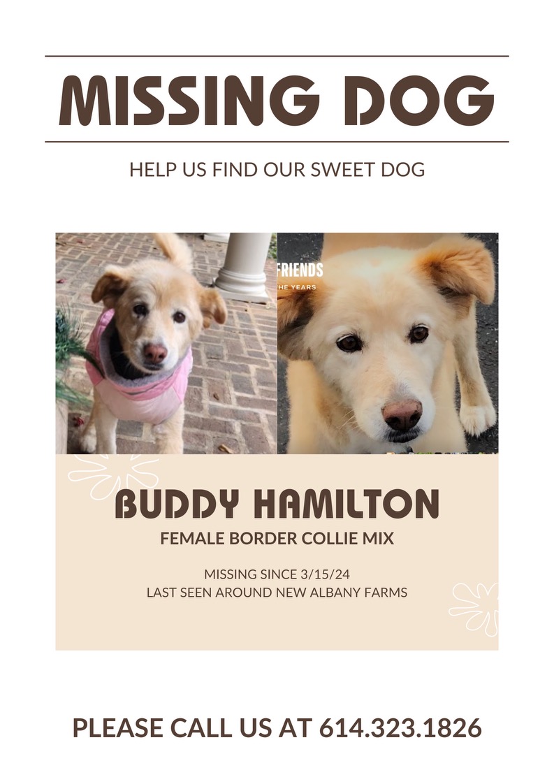 Image of Buddy Hamilton, Lost Dog