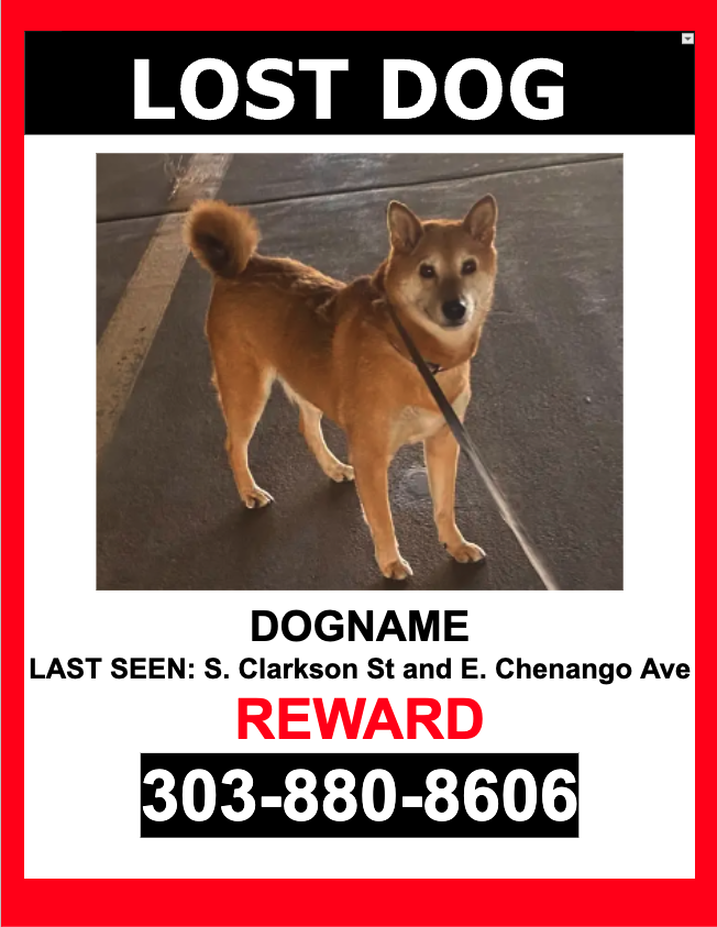 Image of YOSHI, Lost Dog