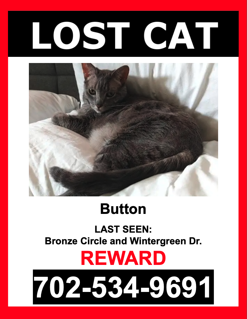 Image of Button, Lost Cat