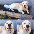 Found 1 Max (no tags) Found 1 Max (no tags)
