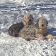 Found 1 Jasper & Oliver Found 1 Jasper & Oliver