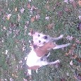 Found 1 Sadie Found 1 Sadie