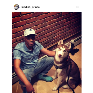 2nd Image of Prince, Lost Dog