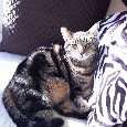 Lost 2 Oliver (FL)