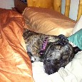 Lost 1 Nelli (MD)