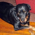 Lost 1 LOCKETT (FL)