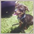 Lost 1 Quincy (CA)