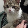 Lost 2 Prince aka Little Man (TN)