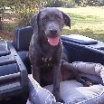 Lost 1 Cabella (GA)