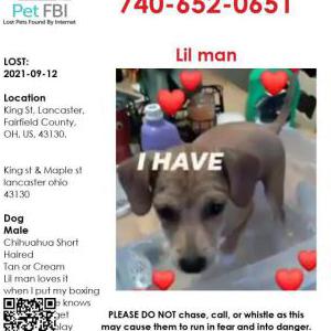 Lost Dog Lil man