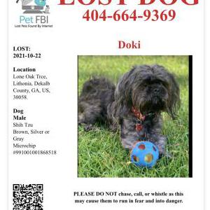 Lost Dog Doki