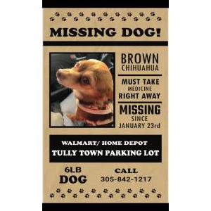 Lost Dog Fido