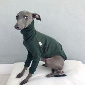 Lost Dog Green Sweater