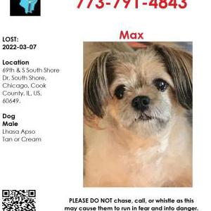 2nd Image of Max, Lost Dog