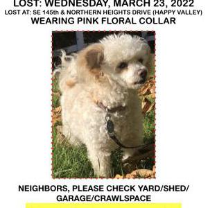 2nd Image of Emmie, Lost Dog