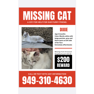 Lost Cat Dixie