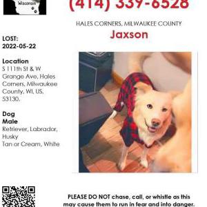 Lost Dog Jaxson