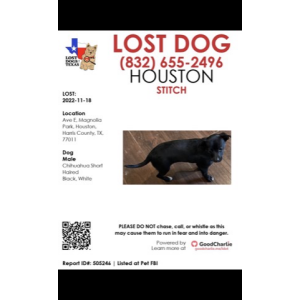 2nd Image of Stitch, Lost Dog