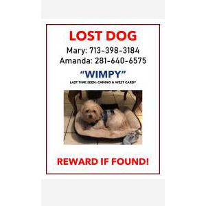 Lost Dog Wimpy
