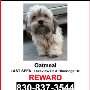 Lost Dog Oatmeal