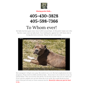 Image of Mrs. molly, Lost Dog