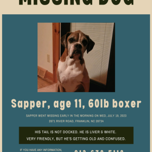 Lost Dog Sapper