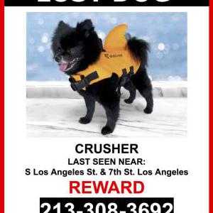 Lost Dog Crusher