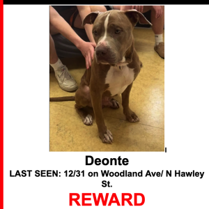 Lost Dog Deonte