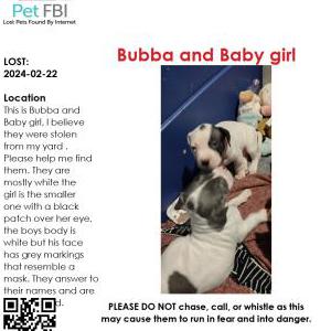 Image of Babygirl and Bubba, Lost Dog