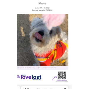 Image of Khase, Lost Dog