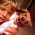 Found Dog Bugsey Found Dog Bugsey